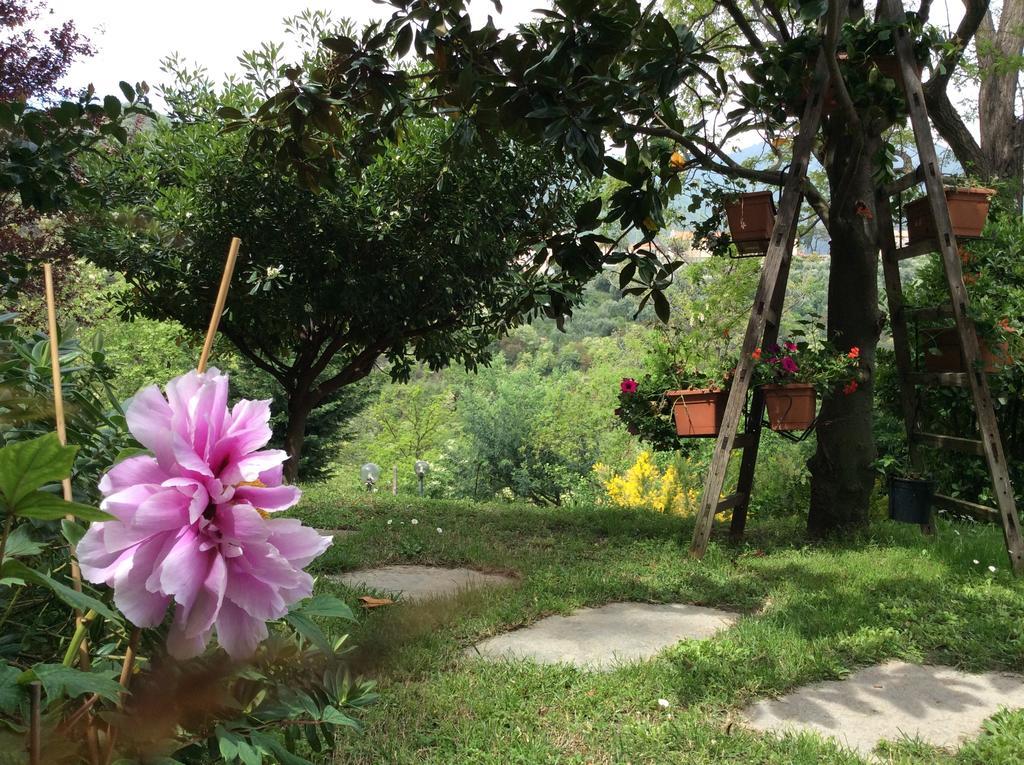 L'Acacia B&B Pietra Ligure Buitenkant foto